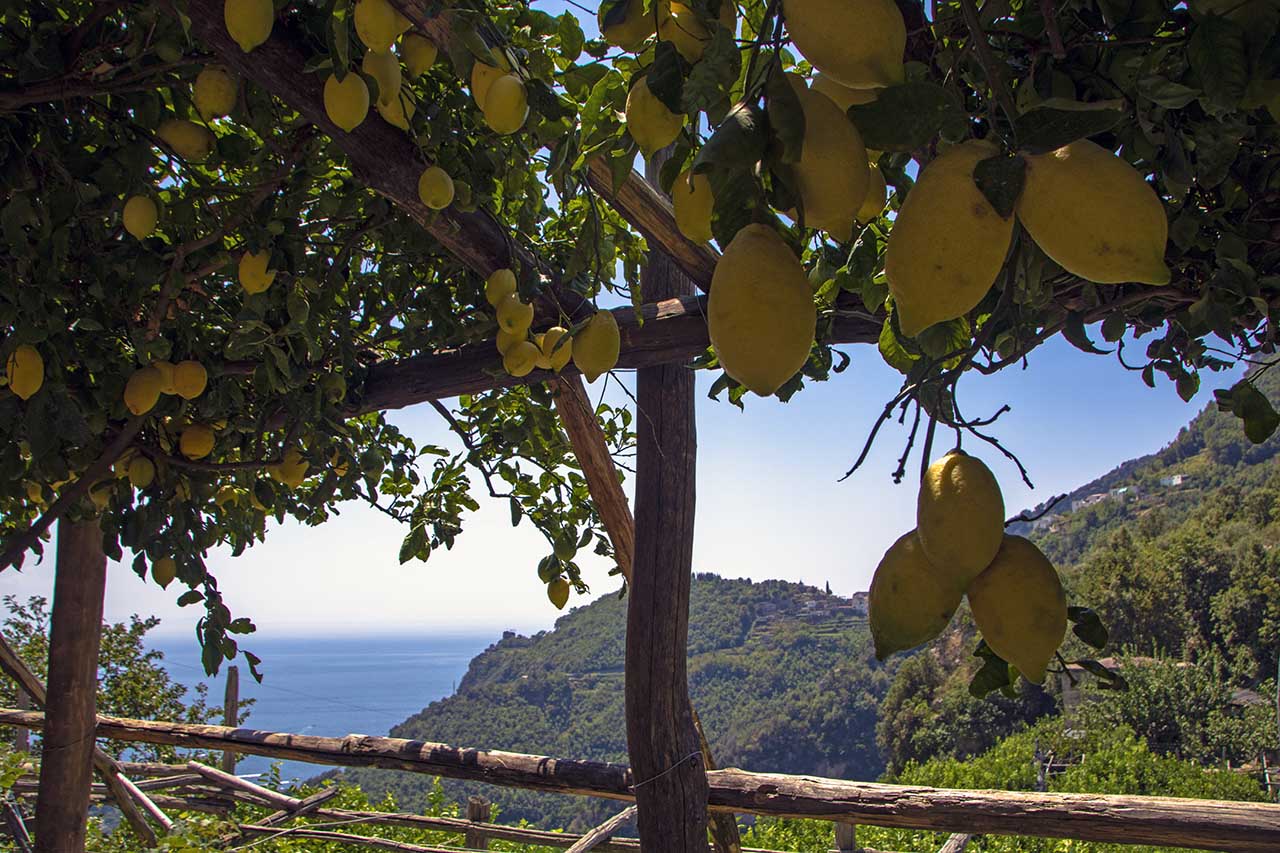 La sostenibilità dei giardini verticali in Costa d'Amalfi, la terrazza di limoni ad Amalfi