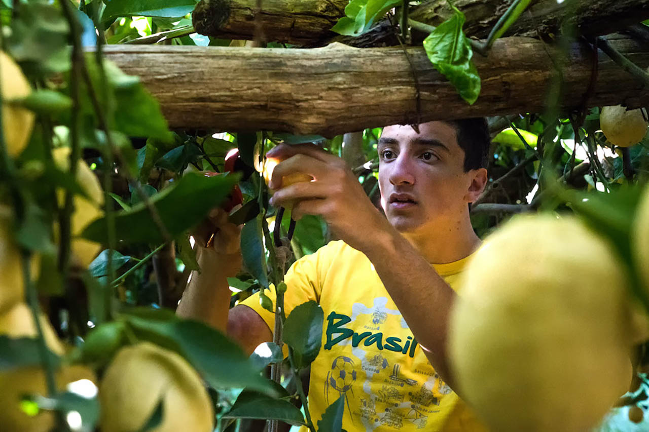 Amalfi Lemon Experience con Salvatore Aceto in Costa d'Amalfi