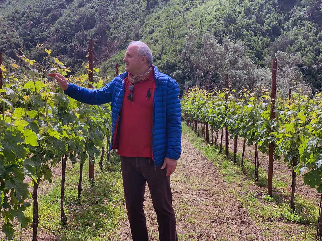 Il vignaiolo Gaetano Bove dellaTenuta San Francesco a Tramonti, in Costa d'Amalfi. Gaetano Bove, il proprietario della Tenuta San Francesco a Tramonti